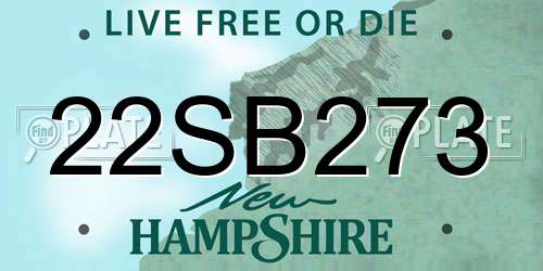22SB273 New Hampshire License Plate