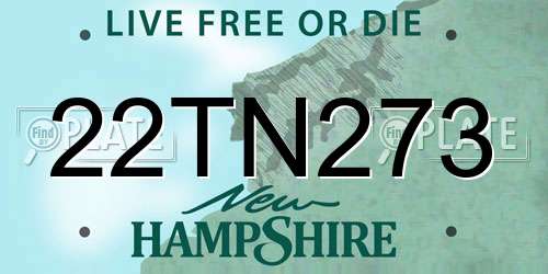 22TN273 New Hampshire License Plate
