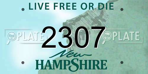 2307 New Hampshire License Plate
