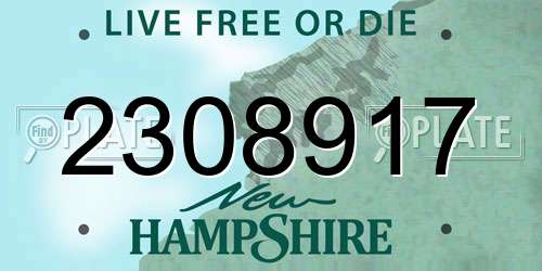 2308917 New Hampshire License Plate