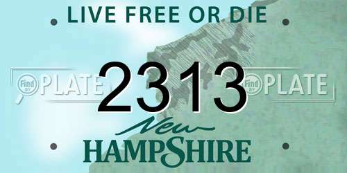 2313 New Hampshire License Plate