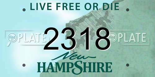 2318 New Hampshire License Plate