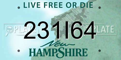 231I64 New Hampshire License Plate