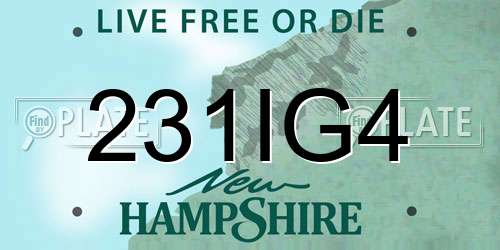 231IG4 New Hampshire License Plate