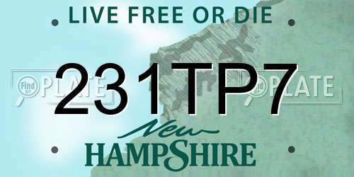 231TP7 New Hampshire License Plate
