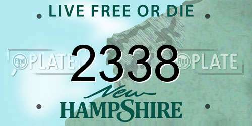 2338 New Hampshire License Plate