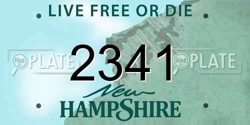 2341 New Hampshire License Plate