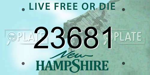23681 New Hampshire License Plate