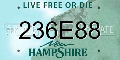236E88 New Hampshire License Plate