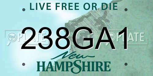 238GA1 New Hampshire License Plate