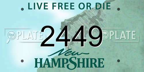2449 New Hampshire License Plate