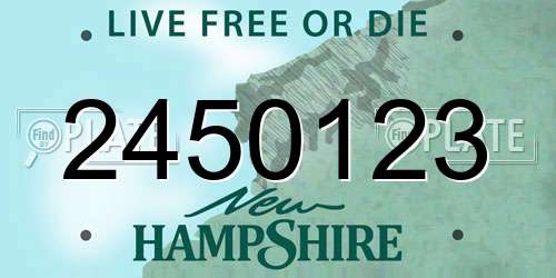 2450123 New Hampshire License Plate