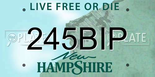 245BIP New Hampshire License Plate