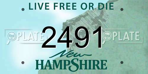 2491 New Hampshire License Plate