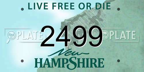 2499 New Hampshire License Plate