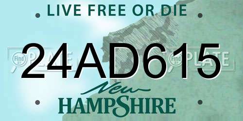 24AD615 New Hampshire License Plate