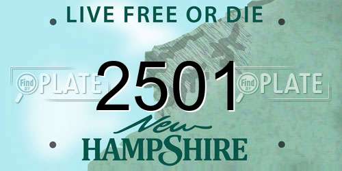 2501 New Hampshire License Plate