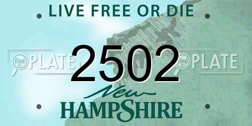 2502 New Hampshire License Plate