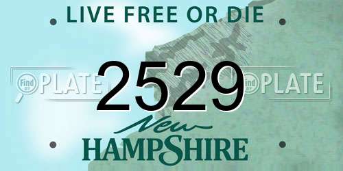 2529 New Hampshire License Plate