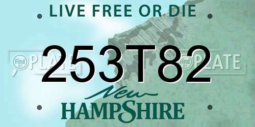 253T82 New Hampshire License Plate