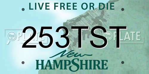 253TST New Hampshire License Plate
