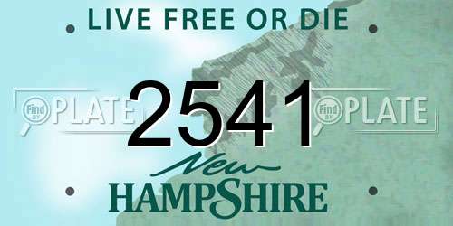 2541 New Hampshire License Plate