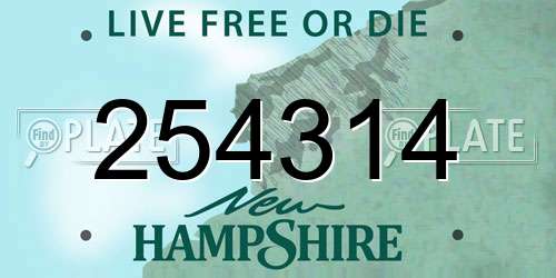 254314 New Hampshire License Plate