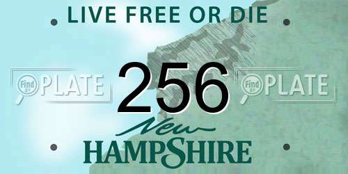 256 New Hampshire License Plate