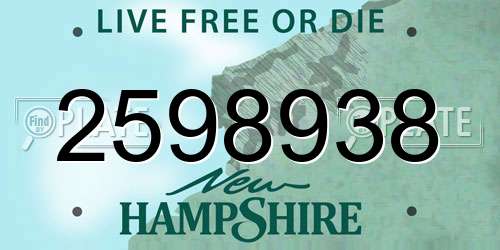 2598938 New Hampshire License Plate