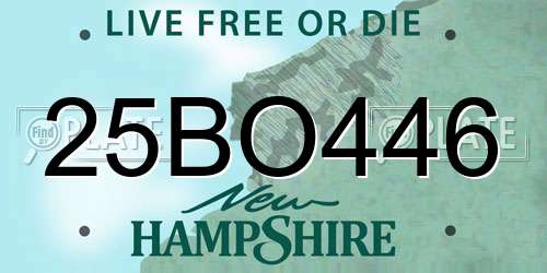 25BO446 New Hampshire License Plate