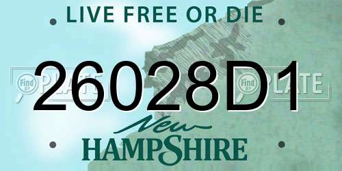 26028D1 New Hampshire License Plate