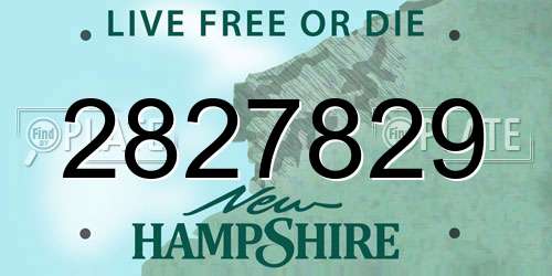 2827829 New Hampshire License Plate