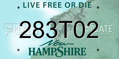 283T02 New Hampshire License Plate