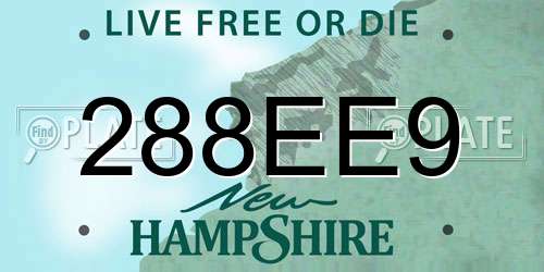 288EE9 New Hampshire License Plate