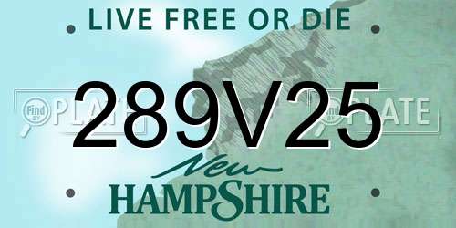 289V25 New Hampshire License Plate