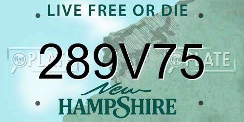 289V75 New Hampshire License Plate