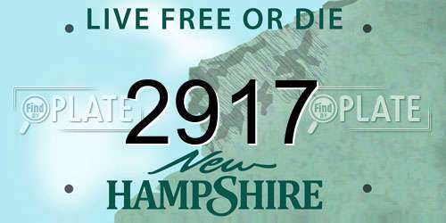 2917 New Hampshire License Plate