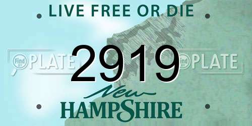 2919 New Hampshire License Plate