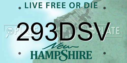 293DSV New Hampshire License Plate