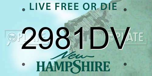 2981DV New Hampshire License Plate
