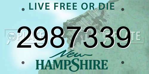 2987339 New Hampshire License Plate