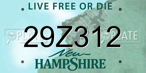 29Z312 New Hampshire License Plate