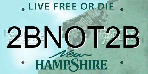 2BNOT2B New Hampshire License Plate