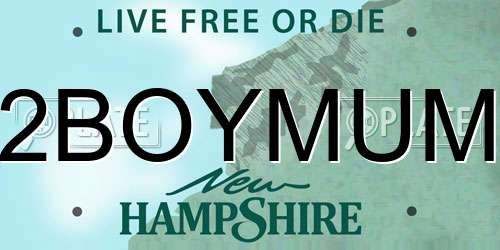 2BOYMUM New Hampshire License Plate