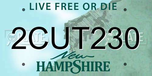 2CUT230 New Hampshire License Plate