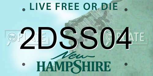 2DSS04 New Hampshire License Plate
