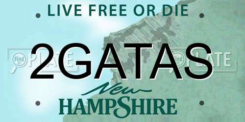 2GATAS New Hampshire License Plate