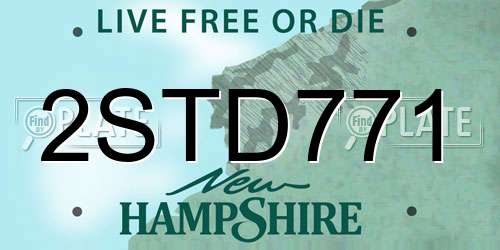 2STD771 New Hampshire License Plate