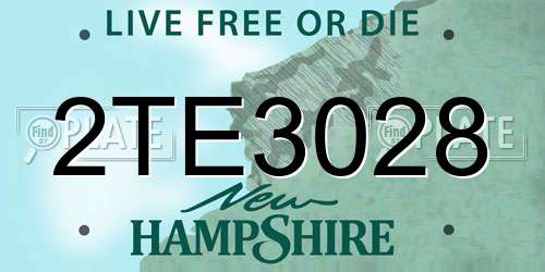 2TE3028 New Hampshire License Plate
