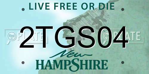 2TGS04 New Hampshire License Plate